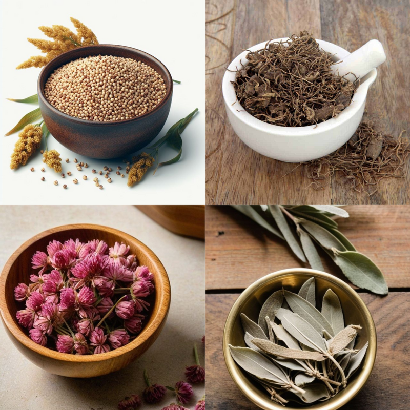 Our Key Ingredients for